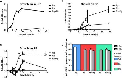 Mechanistic Insights Into the Cross-Feeding of Ruminococcus gnavus and Ruminococcus bromii on Host and Dietary Carbohydrates